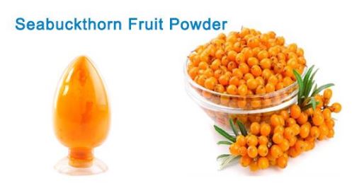 Organic SEA BUCKTHORN POWDER WHOLESALER Organic SEA BUCKTHORN POWDER WHOLESALER