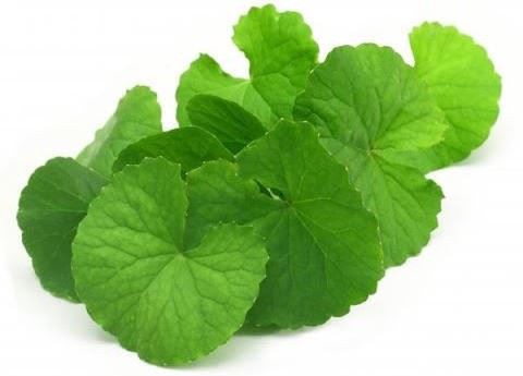 What is Centella Asiatica What is Centella Asiatica