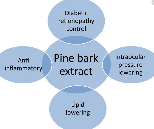 Pine Bark Powder Uses