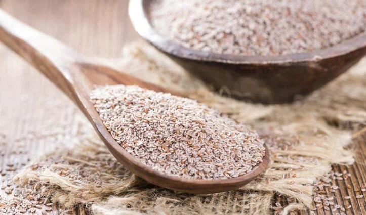 inulin vs psyllium inulin vs psyllium