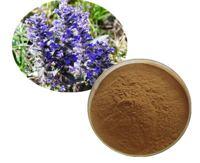 Turkesterone Turkesterone