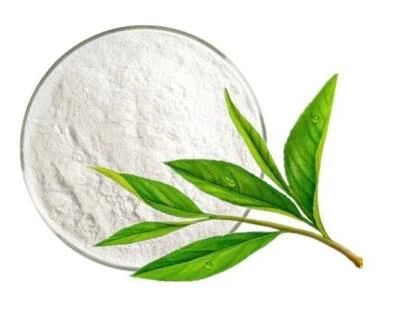 Does green tea extract have egcg Does green tea extract have egcg