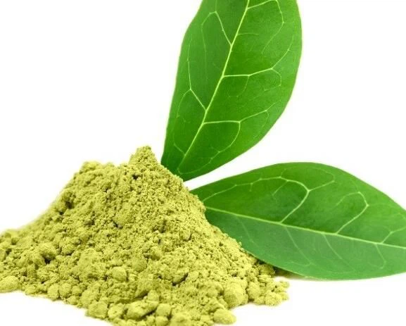 Does all green tea extract have EGCG Does all green tea extract have EGCG