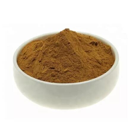 ilex paraguariensis leaf extract benefits