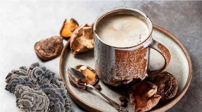 Turkey Tail Extract: Solubility and Stability for Functional Beverages Turkey Tail Extract: Solubility and Stability for Functional Beverages