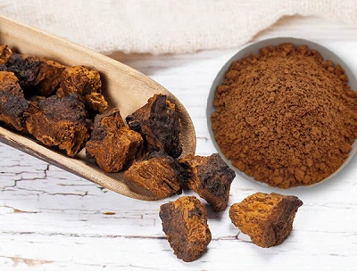 Pruebas de identificación para extracto de hongo Chaga: autenticidad y calidad