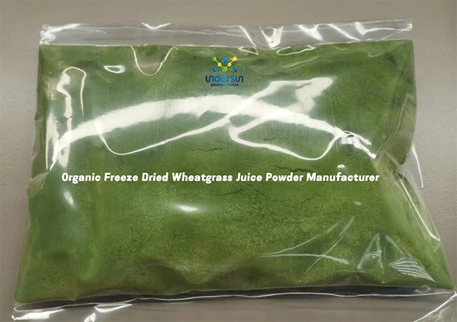 Polvo de jugo de hierba de trigo seca orgánica