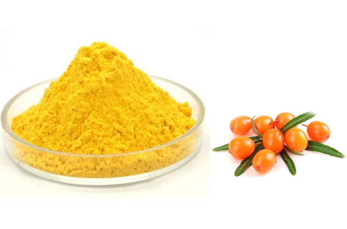 Sea Buckthorn Berry Juice Powder Sea Buckthorn Berry Juice Powder