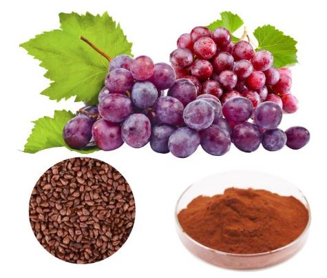 Polvo de semilla de uva