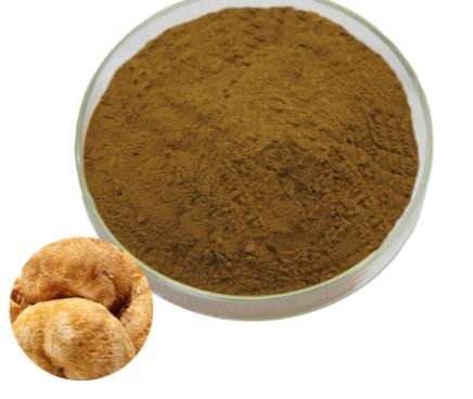 Polvo de hongos melena de león