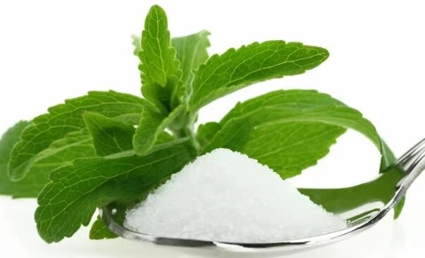 Polvo de extracto de Stevia orgánica