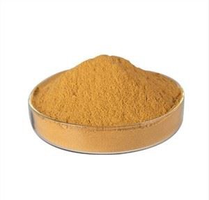 Extracto de corteza de Phellodendron Amurense