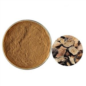 Extracto de raíz de Fo-ti