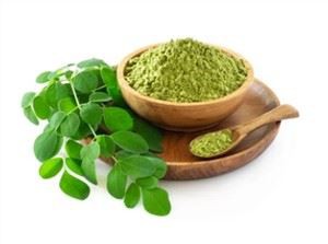Polvo de Moringa para la venta
