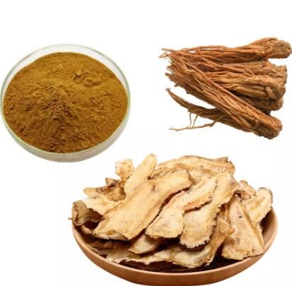 Polvo de raíz de angélica