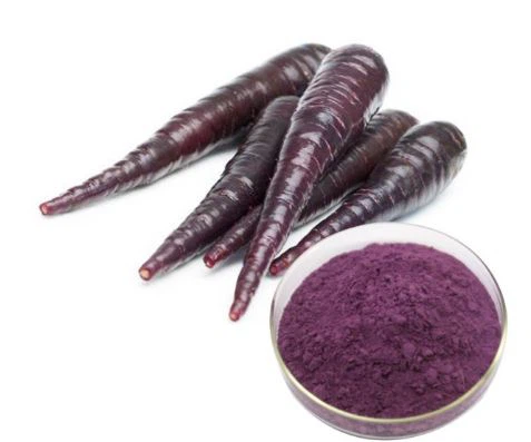 Polvo de zanahoria negra