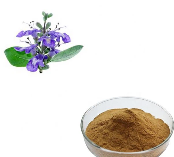 Extracto casto de Berry Vitex