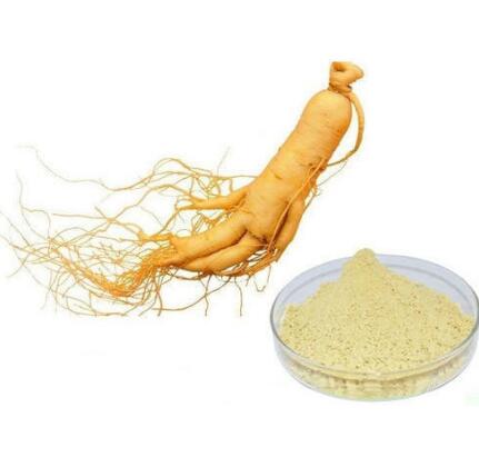 Extracto de raíz de ginseng