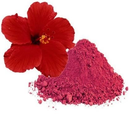 Extracto de Hibisco