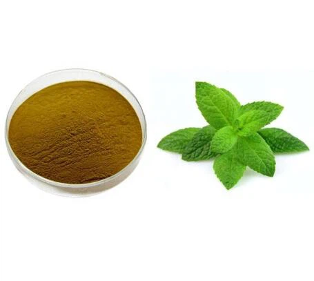 Extracto puro de menta
