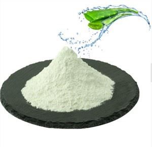 Aloe Vera Gel Powder