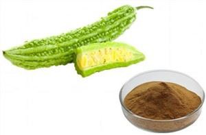Polvo de extracto de melón amargo