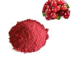 A granel de arándanos en polvo