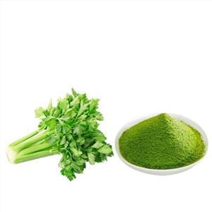 Polvo de apio cultivado