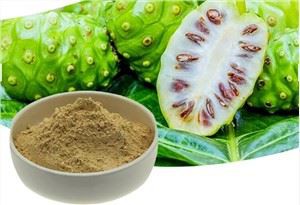 Polvo de noni hawaiano