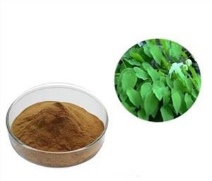 Extracto de hierba de cabra en celo