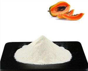 Polvo orgánico de papaína