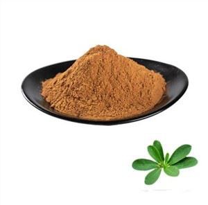 Polvo de Portulaca Oleracea