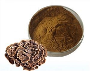 Polvo de champiñones de cola de pavo