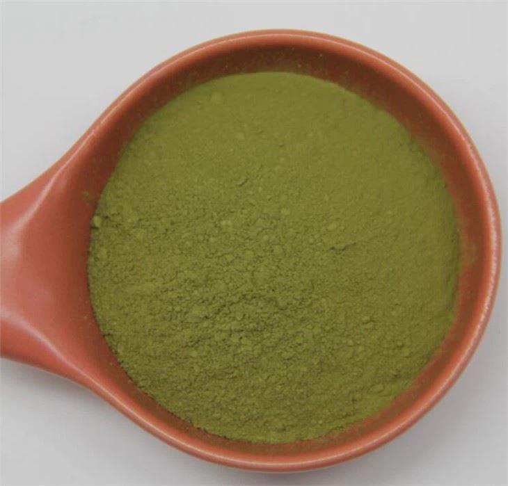 Polvo de Matcha al por mayor