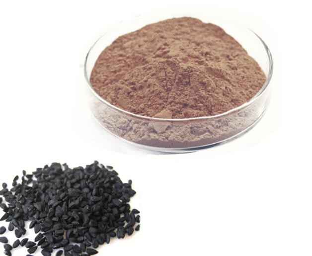 Polvo de semillas de Nigella Sativa