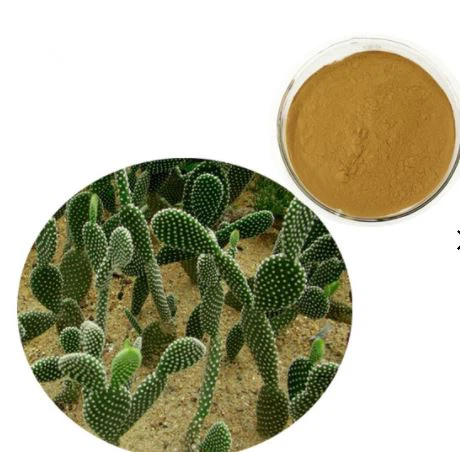Nopal en polvo a granel