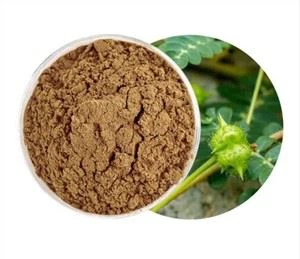 Extracto orgánico de Tribulus Terrestris