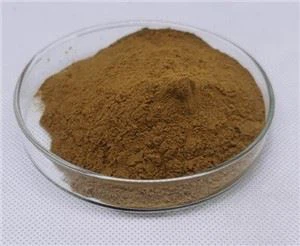 Polvo de raíz de lirio