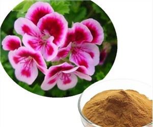 Extracto de Pelargonium Sidoides