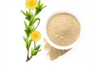 Sceletium Tortuosum Kanna en polvo