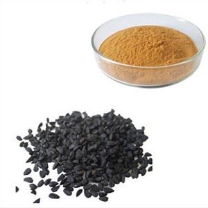 Extracto de timoquinona de Nigella Sativa