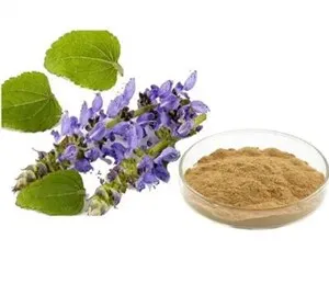 Extracto de raíz de forskolina Coleus Forskohlii